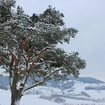 Landgasthof Zum Schuetzen Hotel Oberried (Breisgau)