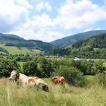 Hotel Landgasthof Zum Schuetzen