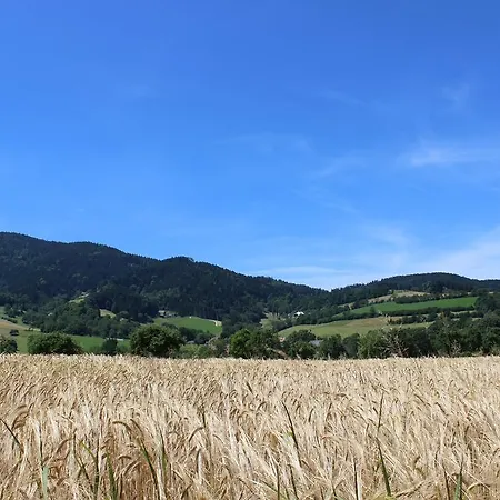 Otel Landgasthof Zum Schuetzen Oberried (Breisgau)