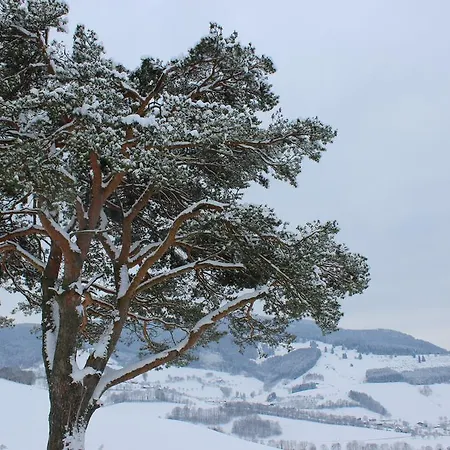Landgasthof Zum Schuetzen Hotel Oberried (Breisgau)