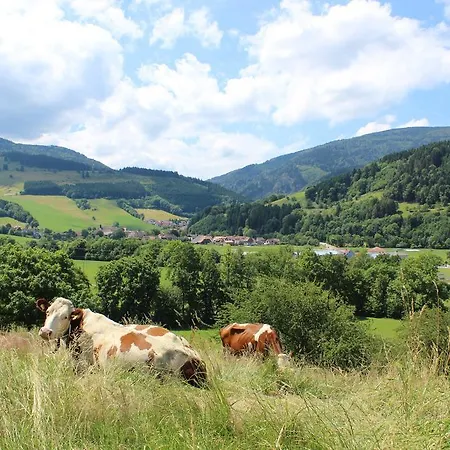 Hotel Landgasthof Zum Schuetzen