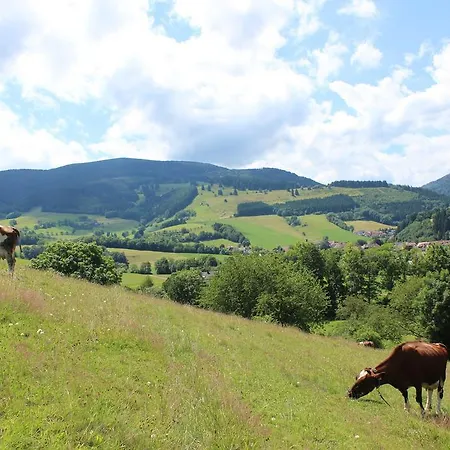 Landgasthof Zum Schuetzen ホテル 3*